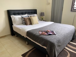 Blk 219 Petir Road (Bukit Panjang), HDB 3 Rooms #201669692